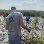 Read more about the article Mangrove planting with Hansgrohe Middle East